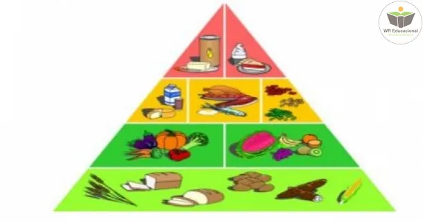 Curso de Pirâmide Alimentar Escolar