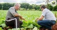 inicialização a assistência técnica e extensão rural - ater
