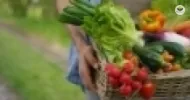 manual da agricultura orgânica