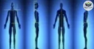 organização postural