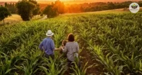 sistemas agroflorestais e agricultura familiar