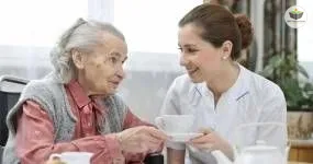 noções básicas de cuidadores de pessoas com necessidades especiais