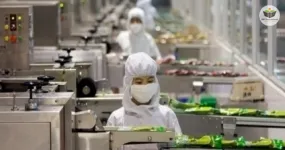 segurança do trabalho em indústrias alimentícias