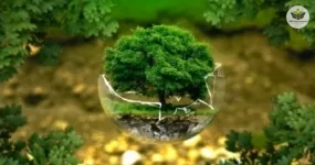 educação ambiental