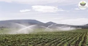 impactos ambientais da agricultura irrigada