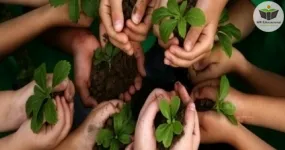 introdução em educação ambiental