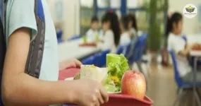 serviços de alimentação destinados ao público escolar