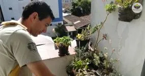 noções básicas em agente de endemias