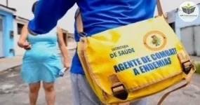 introdução em agente de combate às endemias