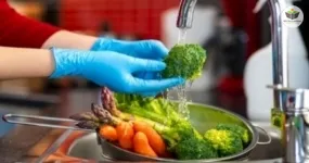 boas práticas de manipulação de alimentos