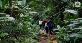 ecoturismo e seu impacto no meio ambiente