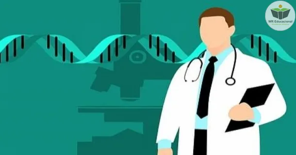 WR Educacional Cursos Gratuitos Com Certificado Válido