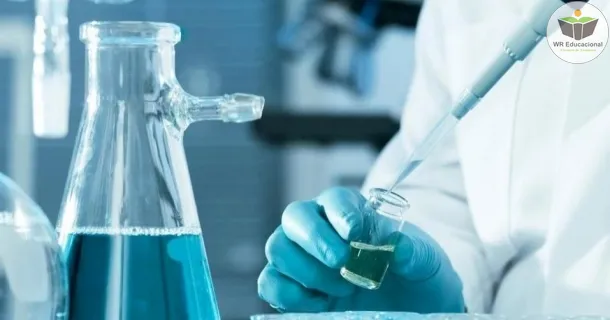 WR Educacional Cursos Gratuitos Com Certificado Válido