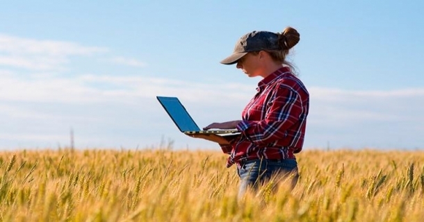 Curso Online Grátis de Administração Rural