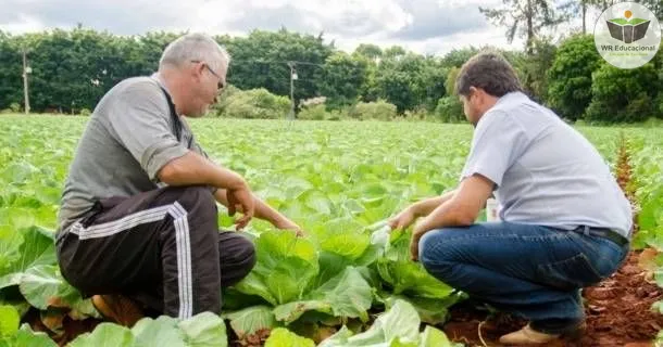 Curso de educação a distância de Assistência Técnica e Extensão Rural - ATER
