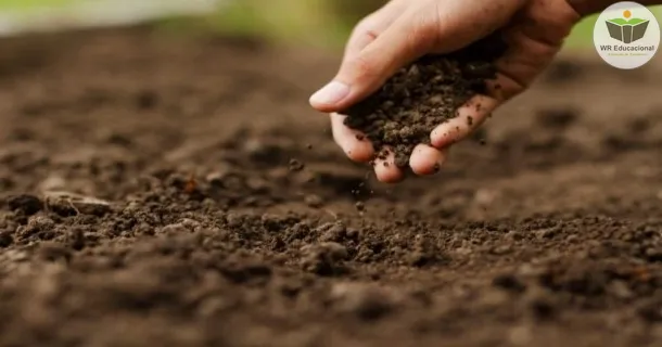 Curso de Fertilidade do Solo nos Últimos Tempos