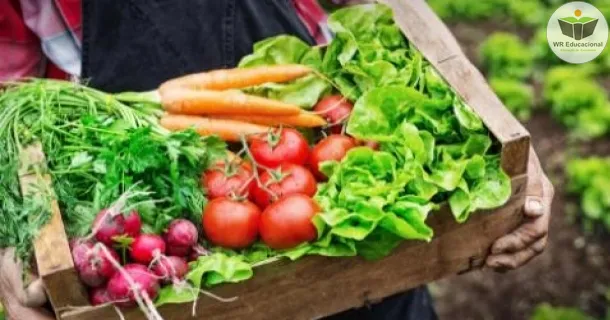 Curso de Introdução a Agricultura Orgânica