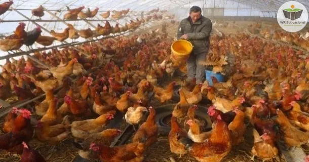 Curso de Manejo de Aves