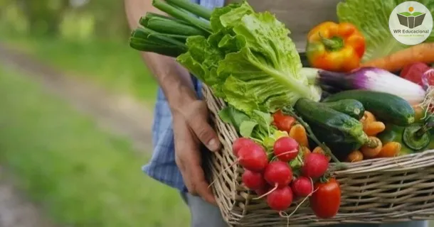 Curso de MANUAL DA AGRICULTURA ORGÂNICA