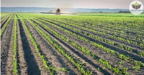 Curso Noções Básicas em Produção de Milho