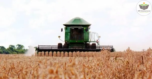 Noções Básicas em Produção e Tecnologia da Soja 
