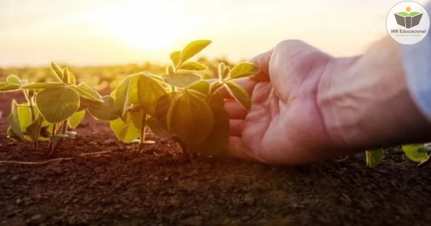 Curso de Regulamentação técnica da agricultura orgânica no Brasil