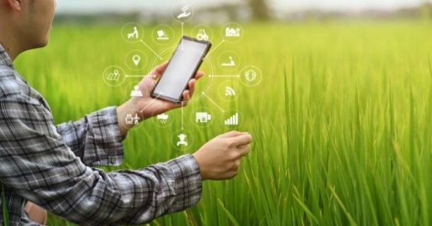 Sementeira e Tecnologia na Agricultura 