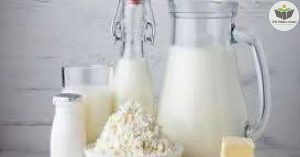 Curso de Introdução a Agroindústria: Derivados do Leite e Vegetais