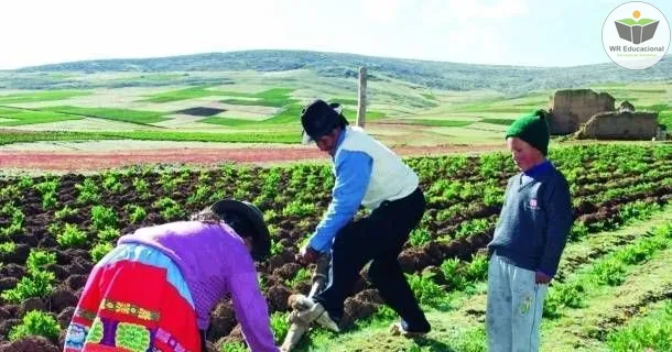 Curso de educação a distância de Introdução em Implementos Agrícolas