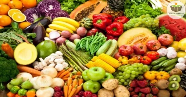 Curso de Guia Alimentar de Dietas Vegetarianas