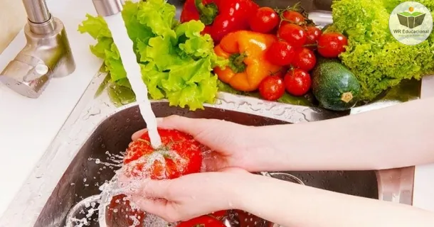 Manipulação Alimentos 