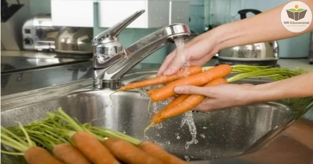 Curso de Processamento de frutas, verduras e legumes 