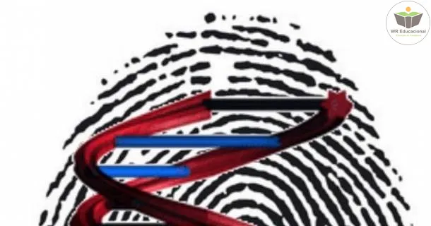 Curso de Princípios Básicos do Direito Criminal e a Segurança Pública
