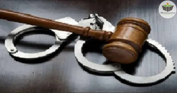 Curso de Introdução à Teoria Geral da Parte Especial do Código Penal