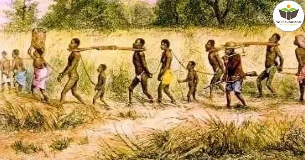 Curso de A História da África