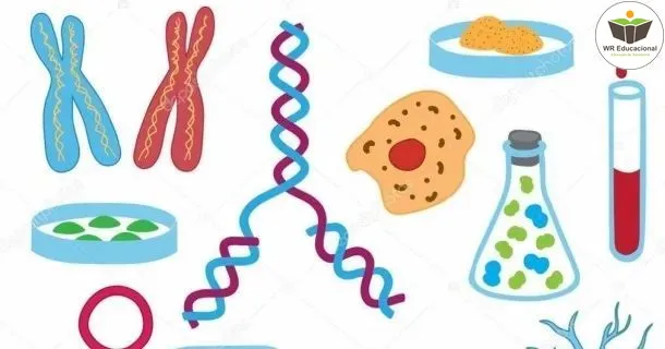 Curso de educação a distância de Biologia do Ensino Médio 