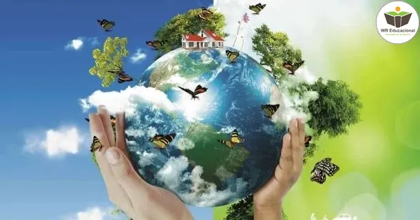 Curso de Meio Ambiente da Inteligência a peculiaridade nas Crianças