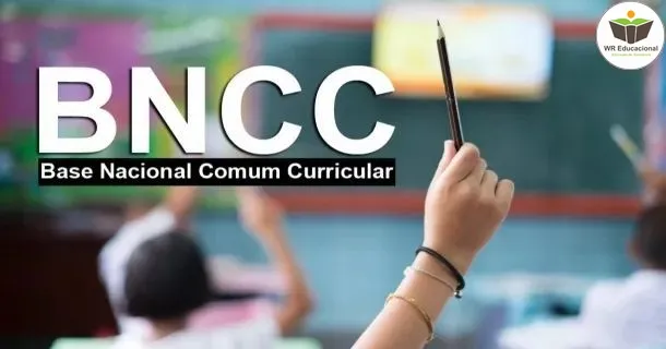 Curso de Estrutura do Ensino Fundamental com a BNCC