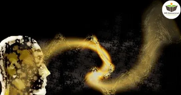 Curso de educação a distância de Filosofia - Ensino Fundamental