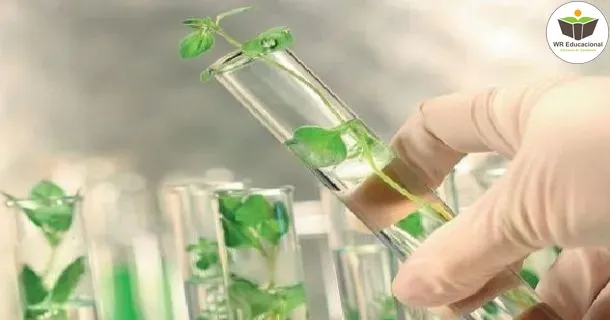 Curso de GEOGRAFIA- SISTEMAS E ANÁLISE AMBIENTAL: ABORDAGEM CRÍTICA