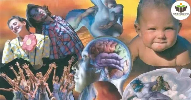 Curso de educação a distância de Neuropedagogia