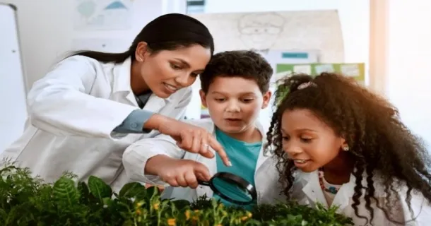 WR Educacional Cursos Gratuitos Com Certificado Válido