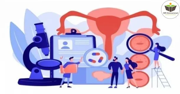 Curso de educação a distância de Utilização de Programas Educacionais