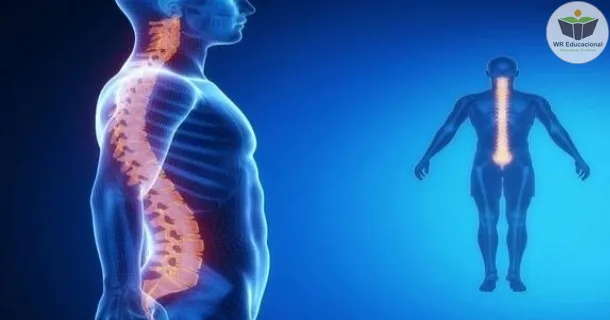 Curso Noções Básicas em Avaliação Postural