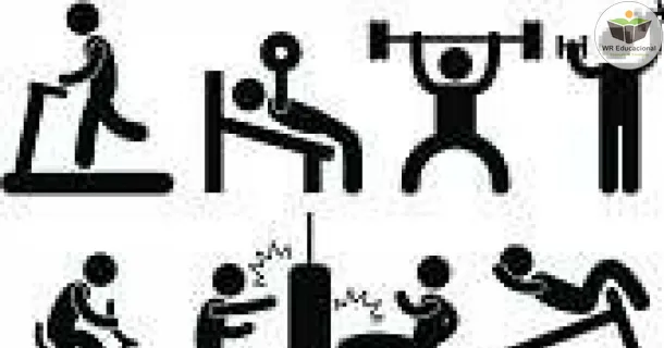 Curso Noções Básicas em Treinamento Funcional 