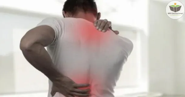 Curso Básico em Sistema Muscular – Anatomia do Músculos do Corpo Humano