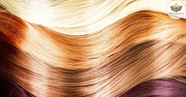 Curso de Coloração Capilar