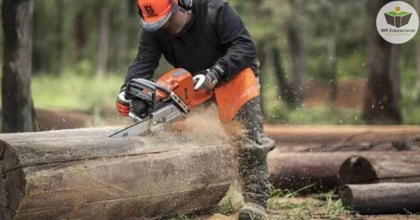 Curso de Avaliação de Segurança do Trabalho de Operadores de Motosserra