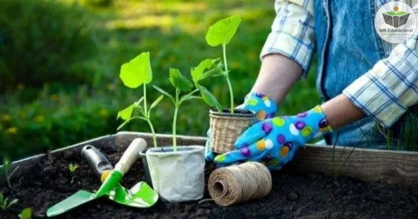 Curso de As Principais Ferramentas de Jardinagem e as Formas de Adubação