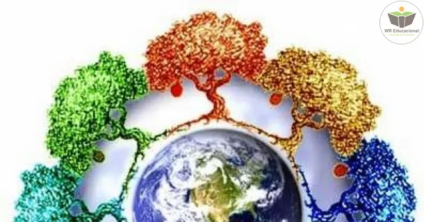 Curso de Educação Ambiental em Perspectiva Transversal